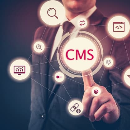 CMS Development
