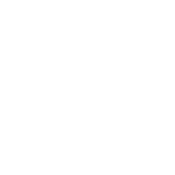 CMS Development