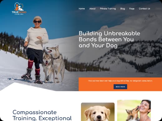 Our Portfolio Image