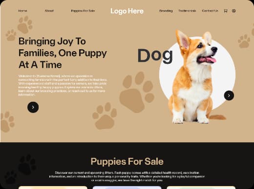 Our Portfolio Image