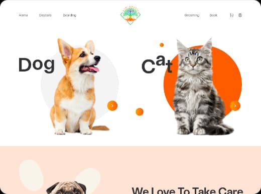 Our Portfolio Image