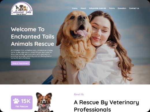 Our Portfolio Image