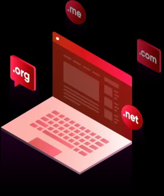 Transfer Your Domain in Dallas, Texas, without Hassle